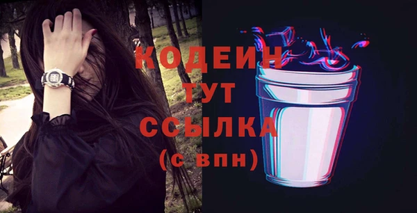 2c-b Инсар