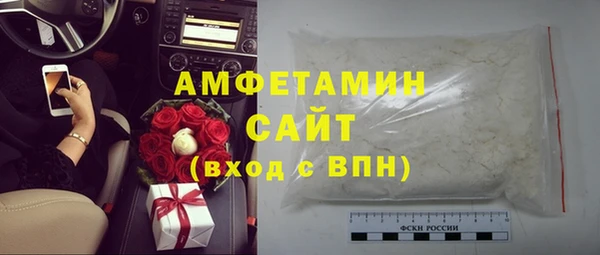 2c-b Инсар
