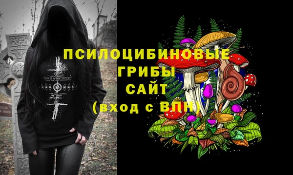 2c-b Инсар