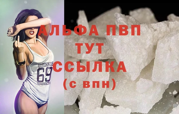 2c-b Инсар