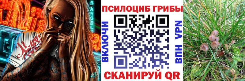 Псилоцибиновые грибы мухоморы  Купить закладки  Ялуторовск 